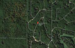 10002 Rising Star Ln, Canadian Lakes, MI